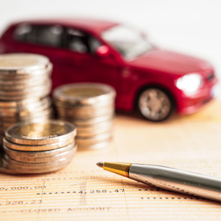 Verifica Attraverso il Portale della Motorizzazione Civile